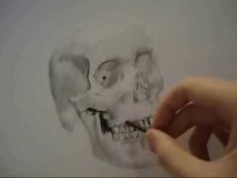 480x360 How To Draw A Skull Realistic Face Drawing Skulls Skeleton Easy