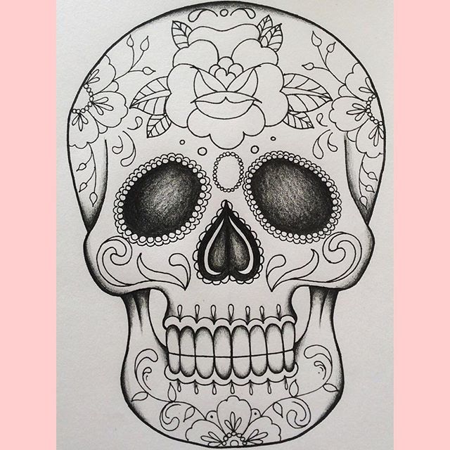 640x640 Animal Skull Drawings 1000 Ideas About Skull Drawings
