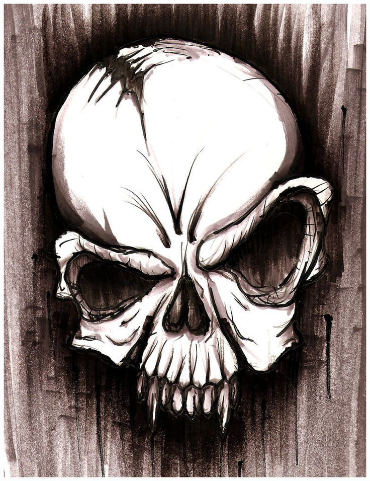 736x956 Drawn Skull Awsome