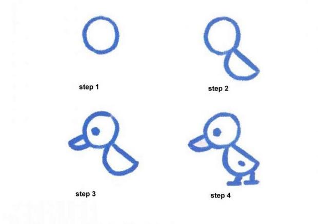 620x438 How To Draw Chick
