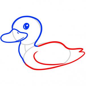 302x302 How To Draw How To Draw A Duck For Kids