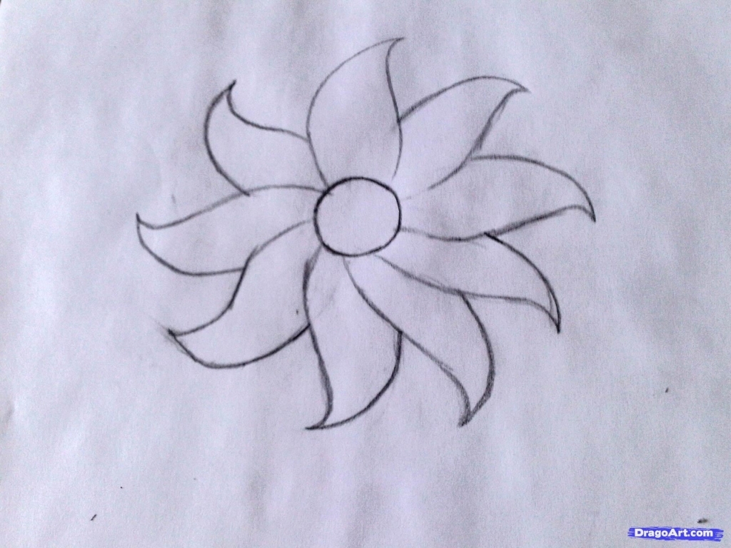 1024x768 Flowers Easy To Draw How To Draw A Flower Easy Step Step Flowers