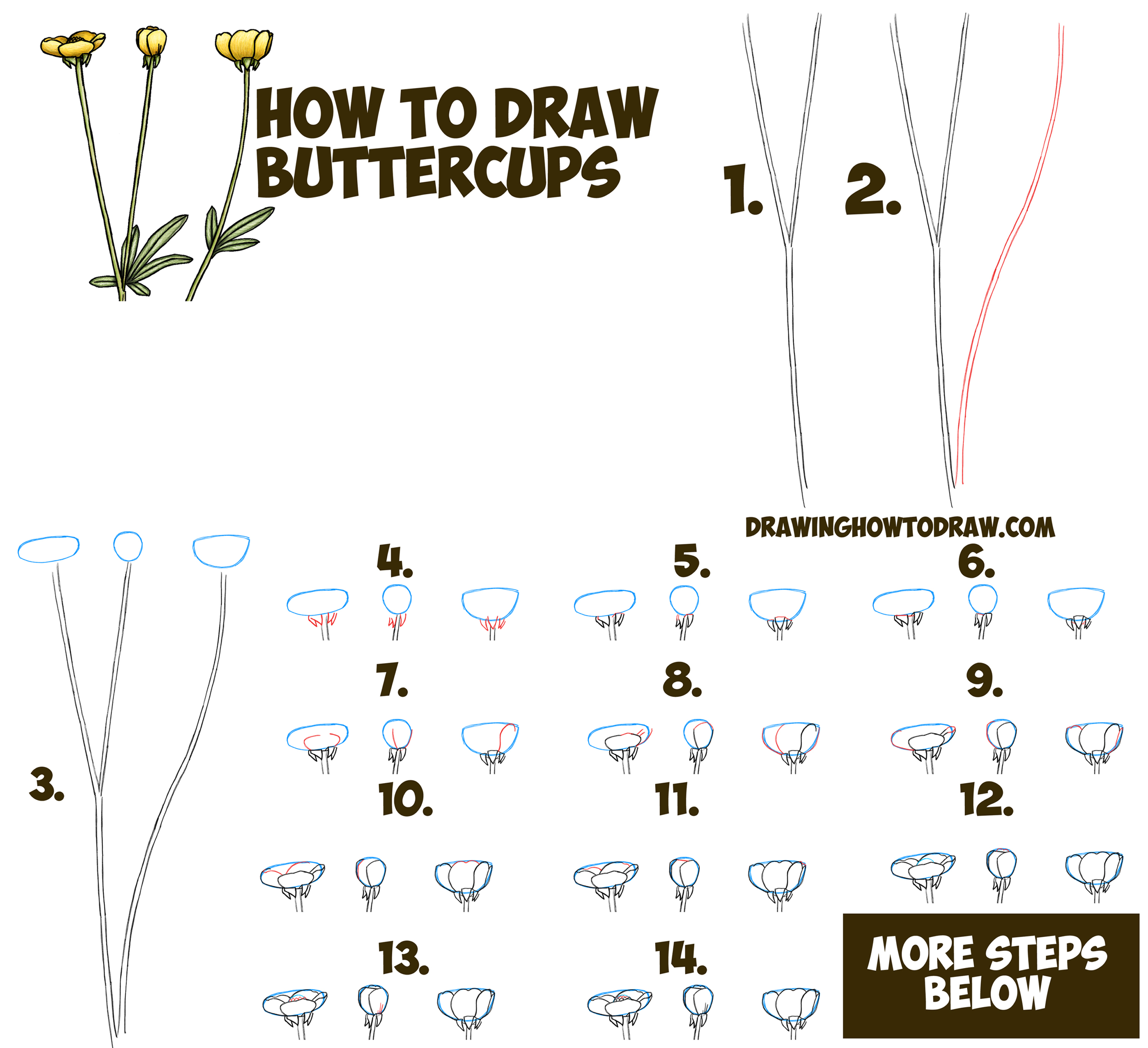 3000x2740 Easy Flowers Drawings Step By Step How To Draw A Buttercup Flower
