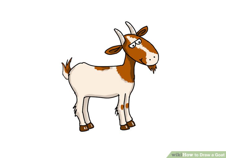 728x510 How To Draw A Goat (With Pictures)
