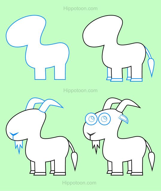 538x639 Simple Drawing Lesson On How To Draw A Goat. Sketching