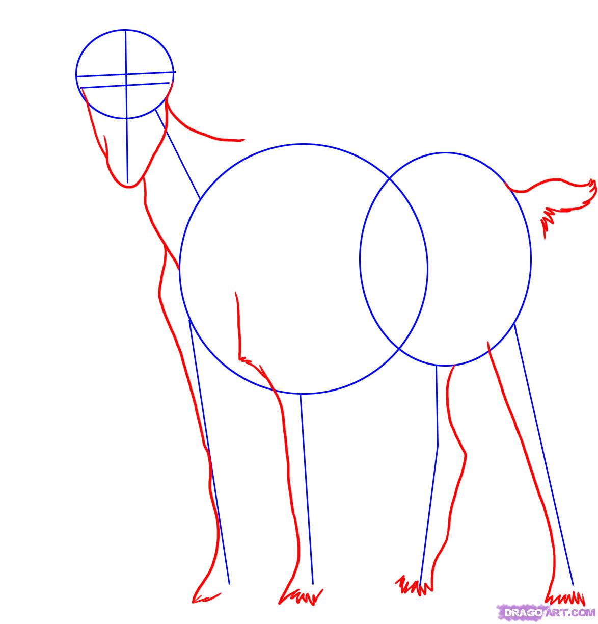1174x1224 How To Draw A Billy Goat Step 2 Cards Goats, Dawn