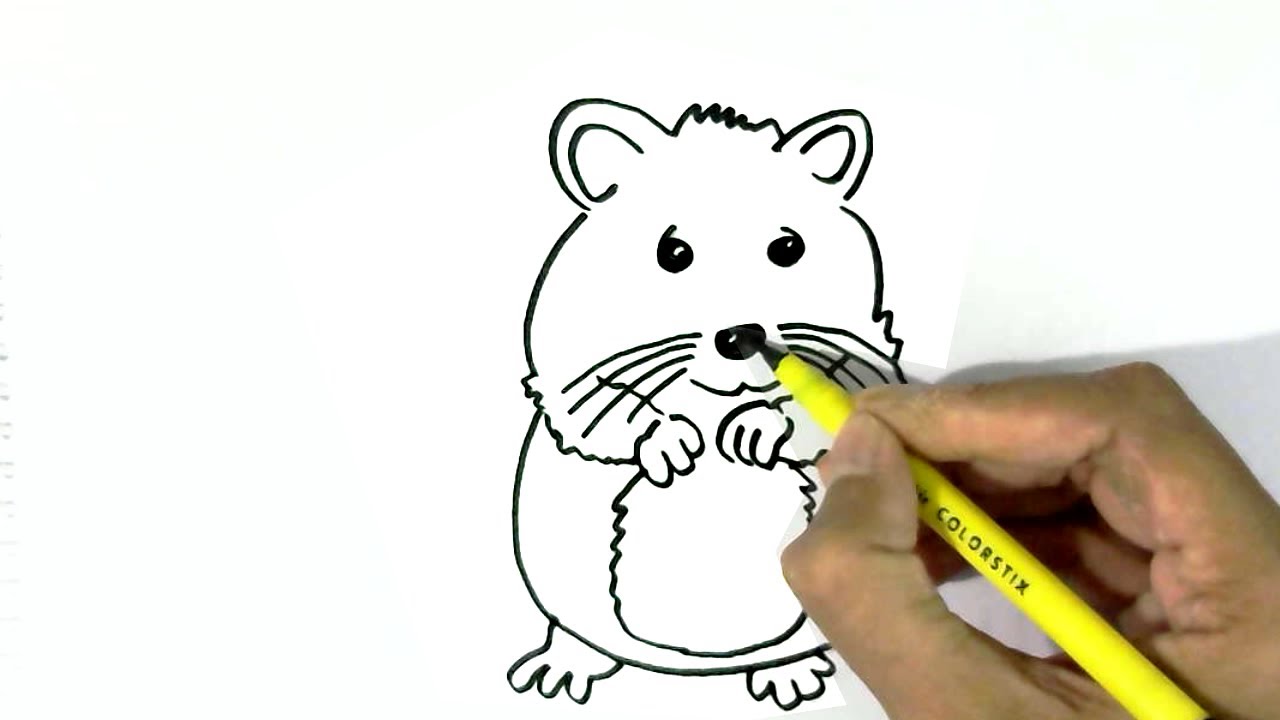 Хомяки поэтапно. Хомяк рисунок карандашом. Хомяк рисунок для детей карандашом. Рисунки хомяков для срисовки. Рисунки для срисовки хомячки.