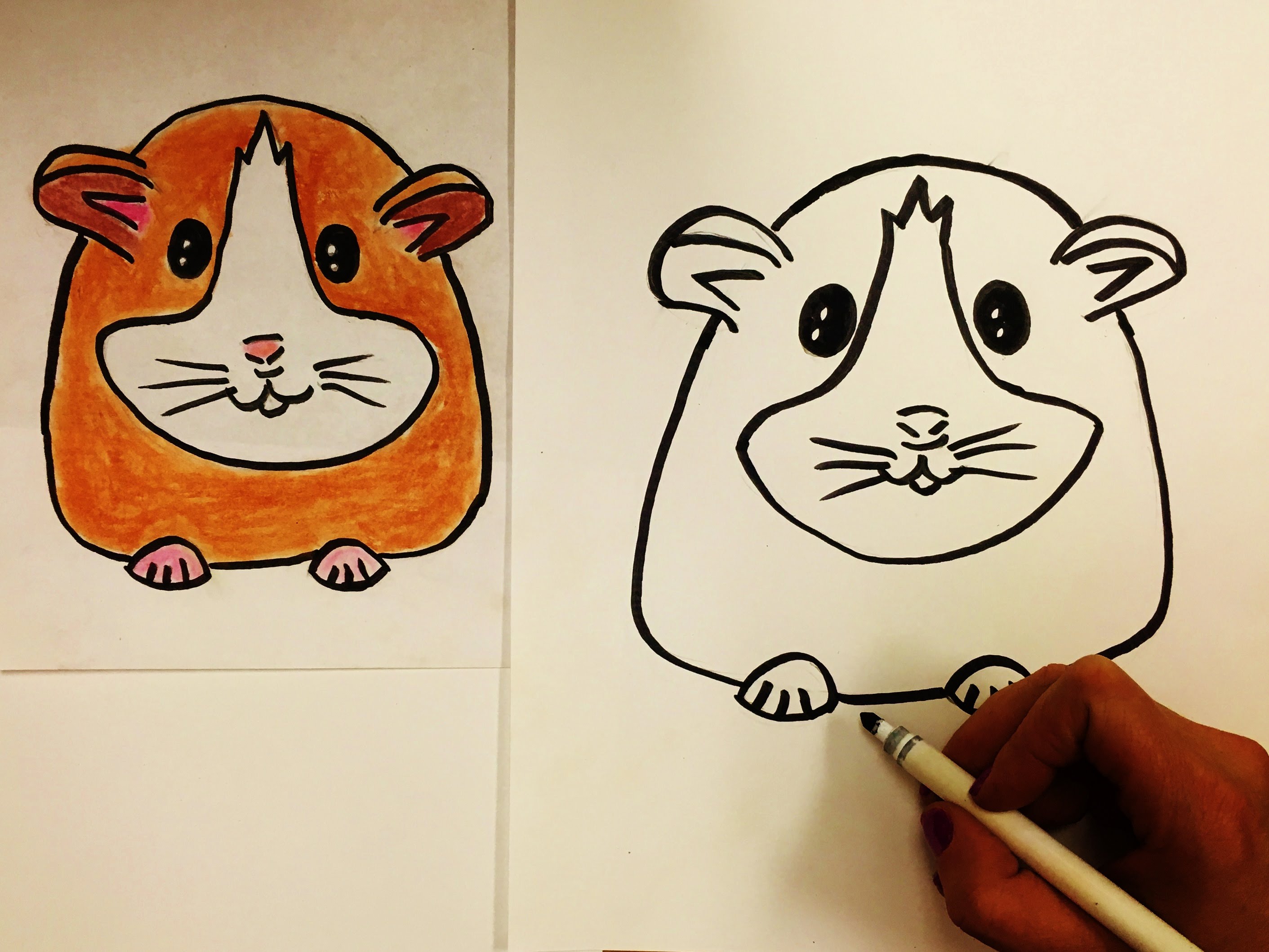 2823x2117 How To Draw A Hamster For Kids