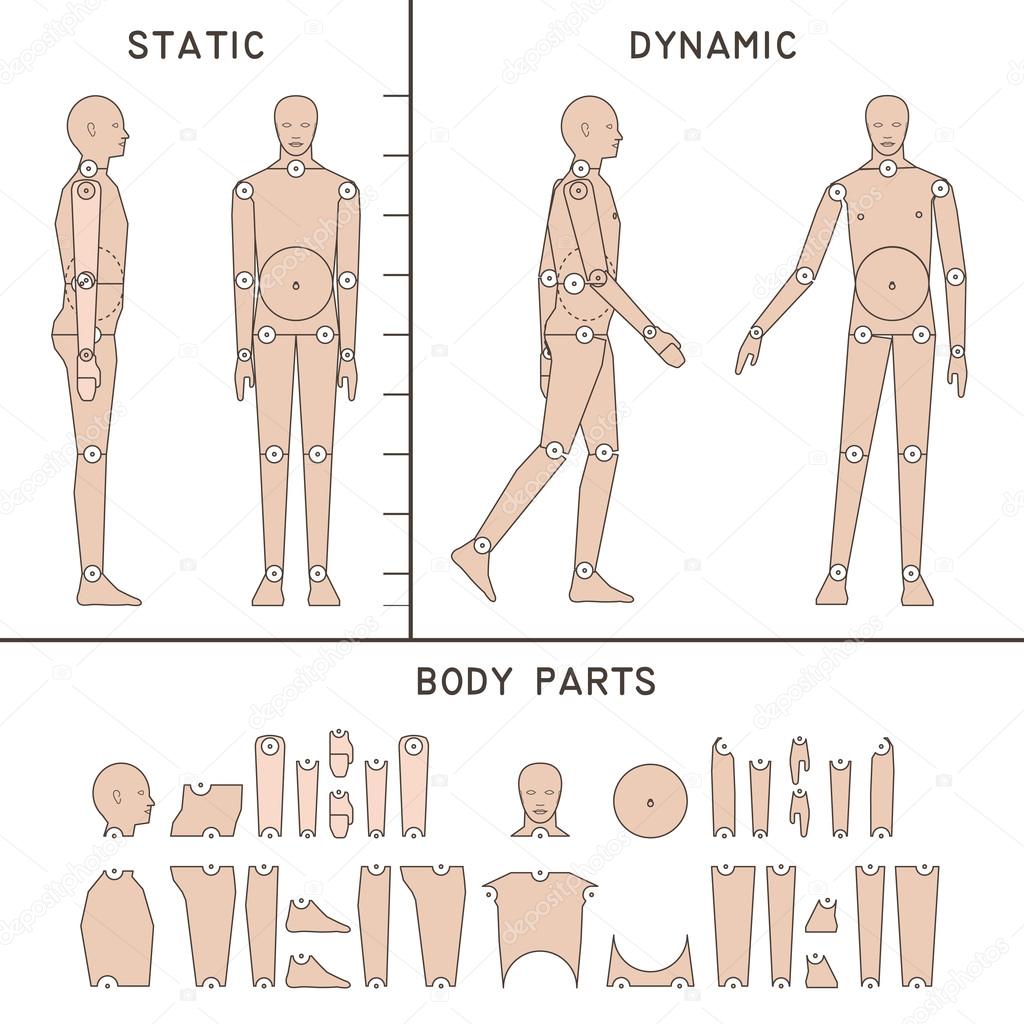 1024x1024 Mannequin For Digital Artists Stock Vector Kornilov17