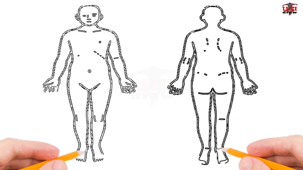 1280x720 How To Draw A Human Body Step By Step Easy For Beginnerskids