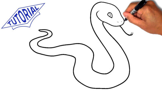 570x320 Simple Drawing Of A Snake How To Draw A Snake. Easy Step By Step