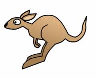 196x158 How Draw The Kangaroos Drawing Tutorials Amp Drawing Amp How