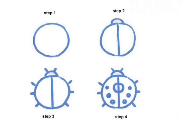 620x438 How To Draw How To Draw A Ladybug