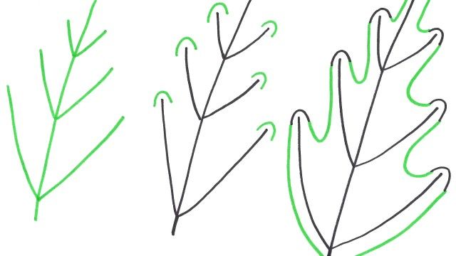 640x360 How To Draw An Easy Leaf. Drawing 101 Leaves