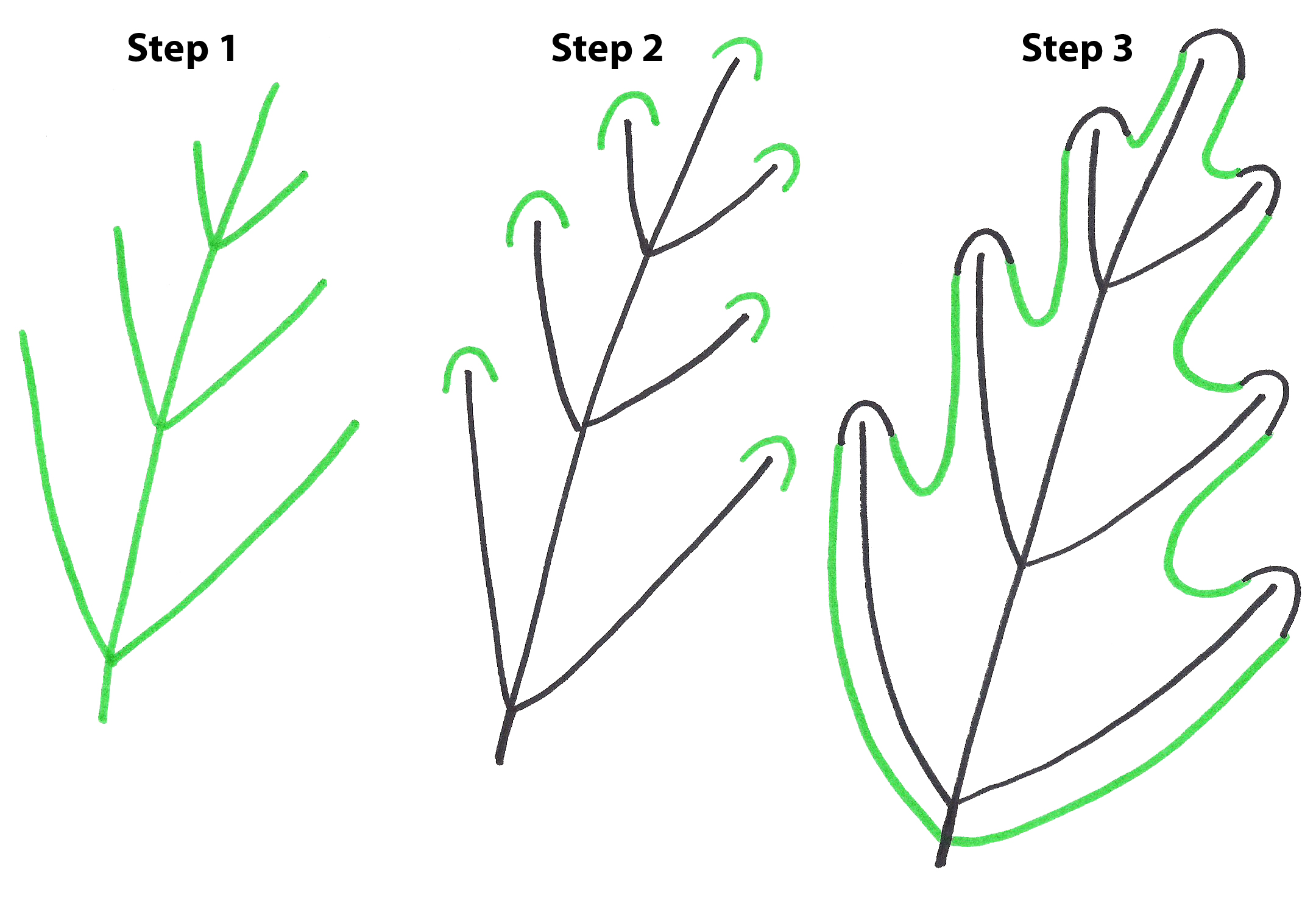 2160x1492 How To Draw Simple Leaves How To Draw Leaves