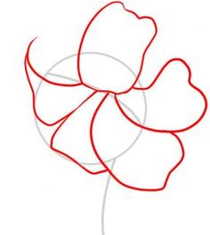 236x264 Dead Lily Flower