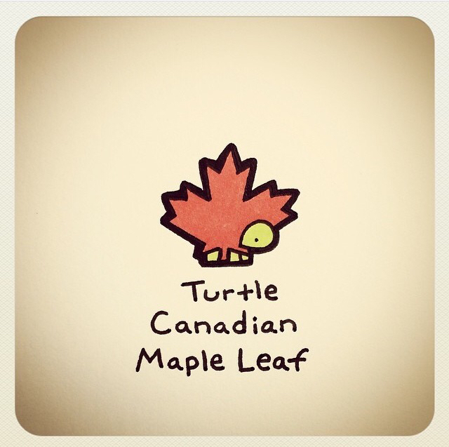 640x637 Turtle Canadian Maple Leaf Turtles Canadian Maple