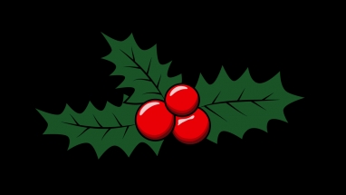 382x215 Mistletoe Drawing Collection
