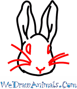 300x350 How To Draw Peter Rabbit