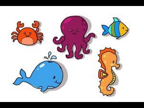 480x360 How To Draw Ocean Animals