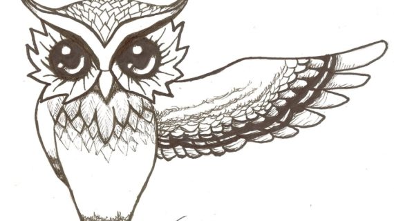 Easy Owl Drawing at GetDrawings | Free download