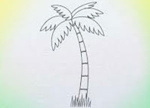 300x217 How To Draw Palm Tree Archives