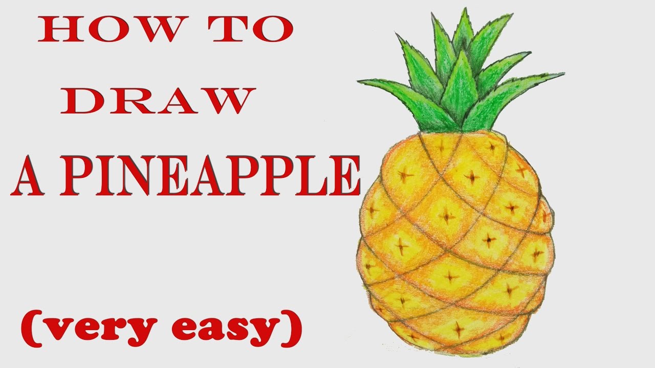 Easy Pineapple Drawing at GetDrawings | Free download