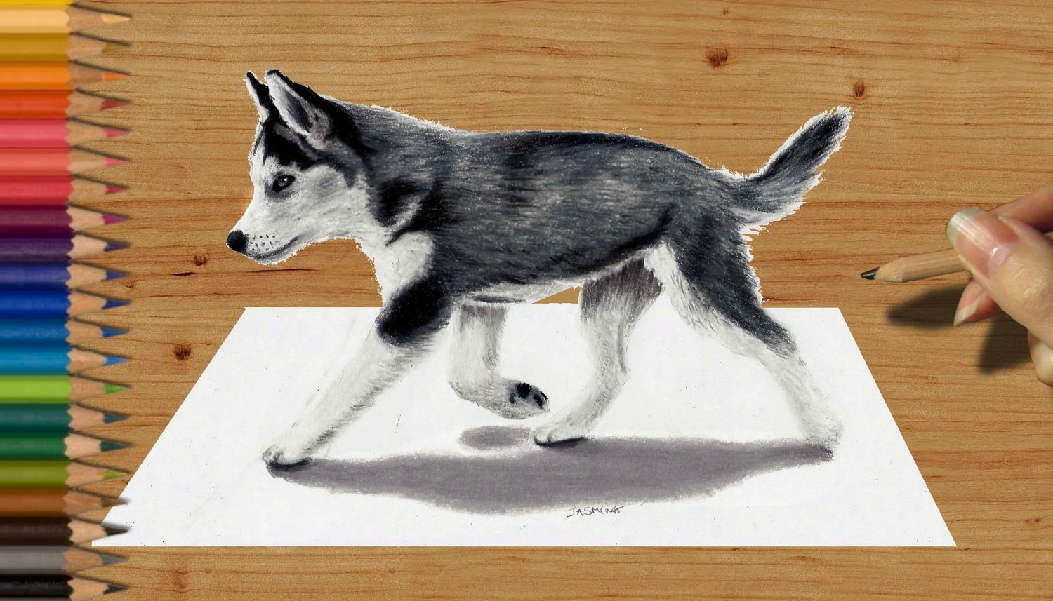 1500x857 Drawn Husky Pencil Drawing