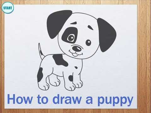 480x360 How To Draw A Puppy