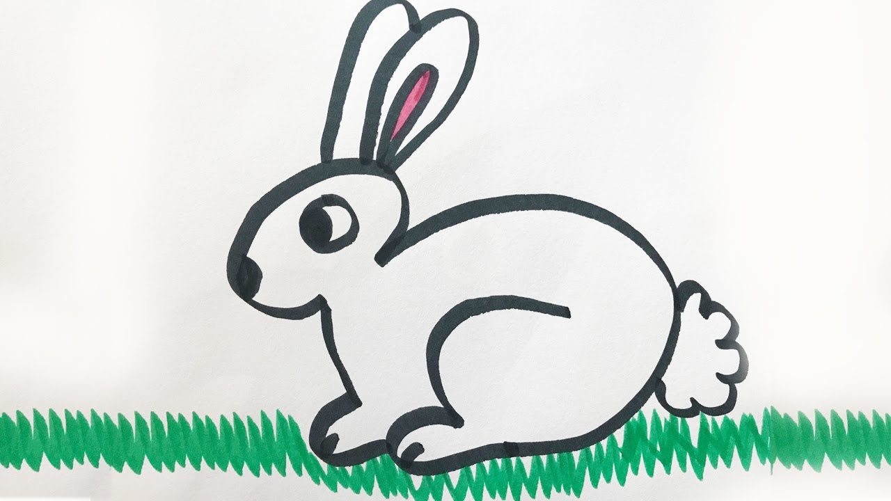 1280x720 How To Draw And Color A Bunny For Kids!