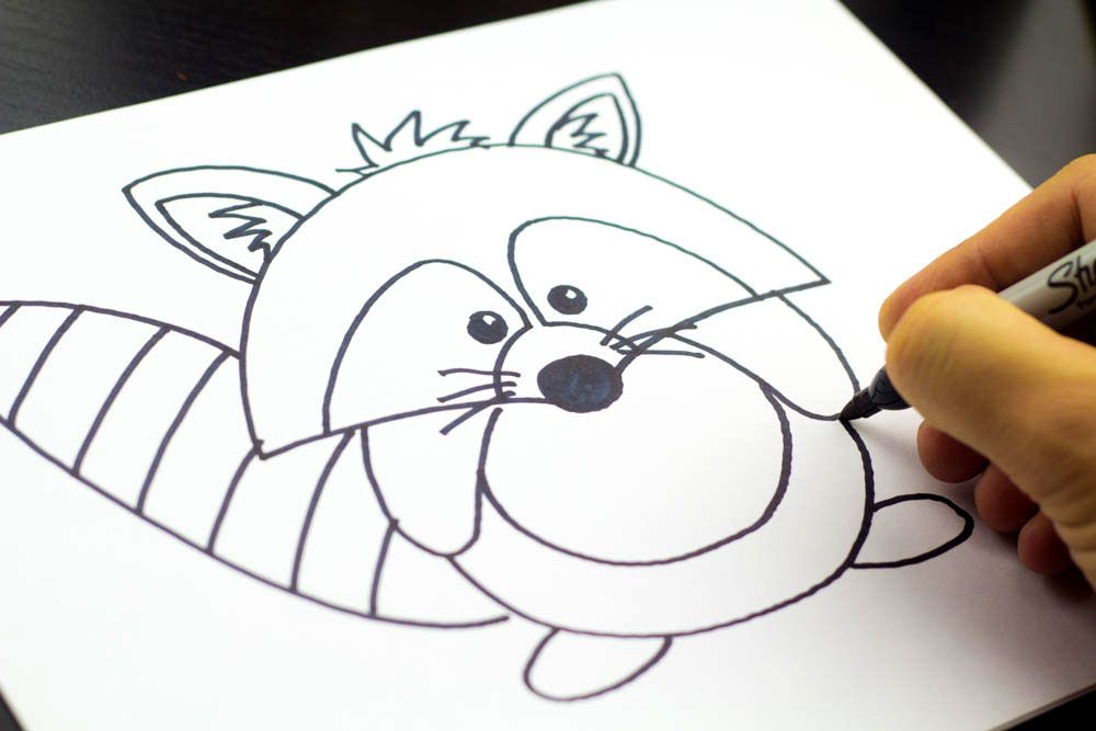 1000x667 How To Draw A Raccoon (Cartoon)