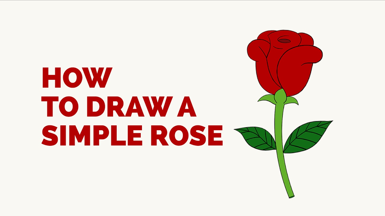 1280x720 How To Draw A Simple Rose In A Few Easy Steps Drawing Tutorial