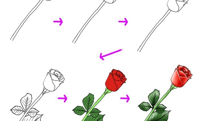 736x425 Easy Rose Drawing Tutorial 11 Best Hand Draw Flowers Easy On Any