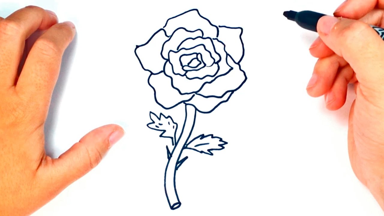 1280x720 How To Draw A Rose Rose Easy Draw Tutorial