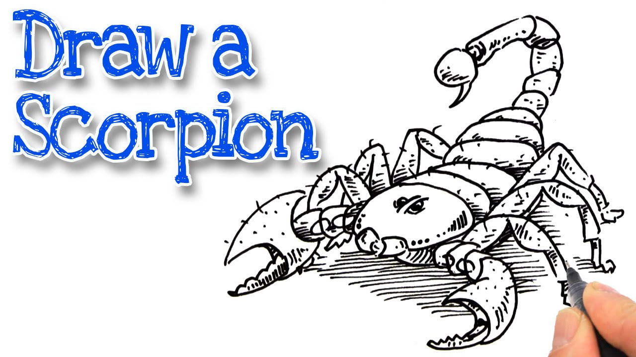 Easy Scorpion Drawing at GetDrawings | Free download