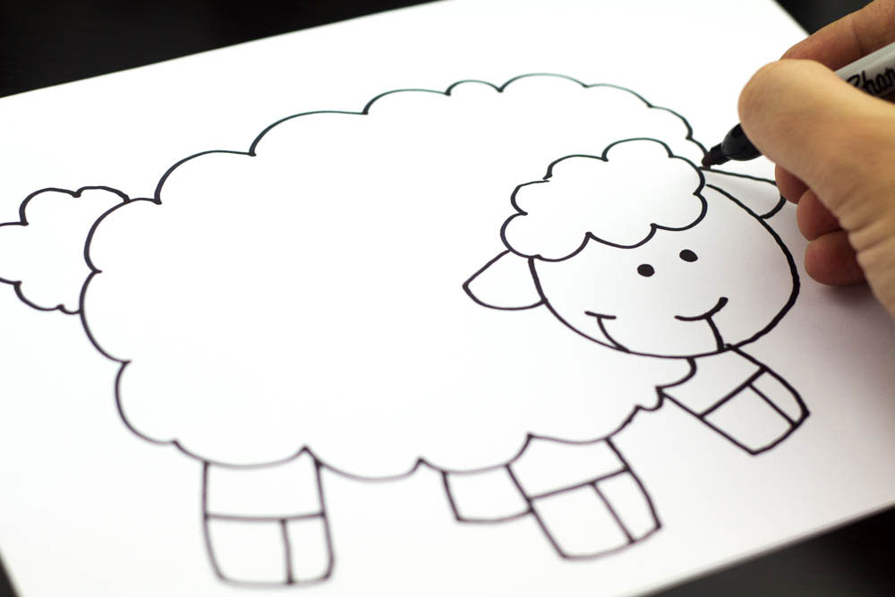 1000x667 How To Draw A Lamb