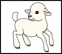 200x172 How Draw Sheep Amp Lambs Drawing Tutorials Amp Drawing Amp How