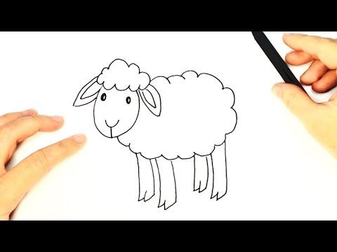 480x360 How To Draw A Sheep For Kids Sheep Easy Draw Tutorial