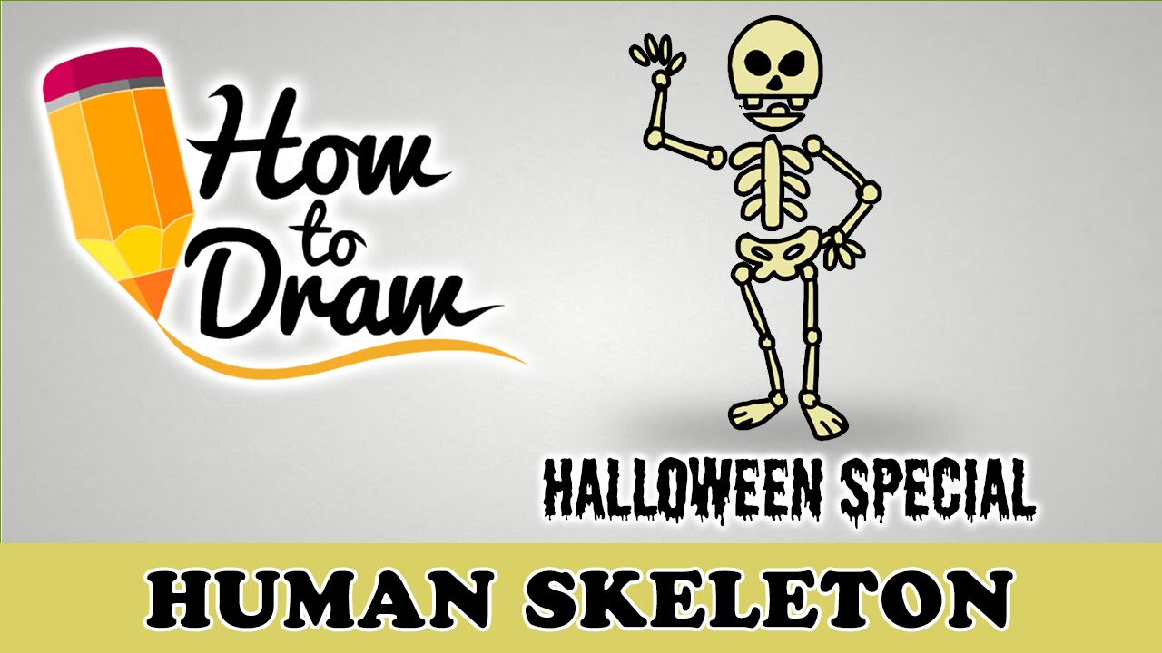 1280x720 How To Draw A Human Skeleton