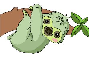 300x200 How To Draw A Sloth