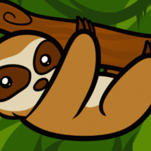 220x220 How To Draw How To Draw A Sloth For Kids