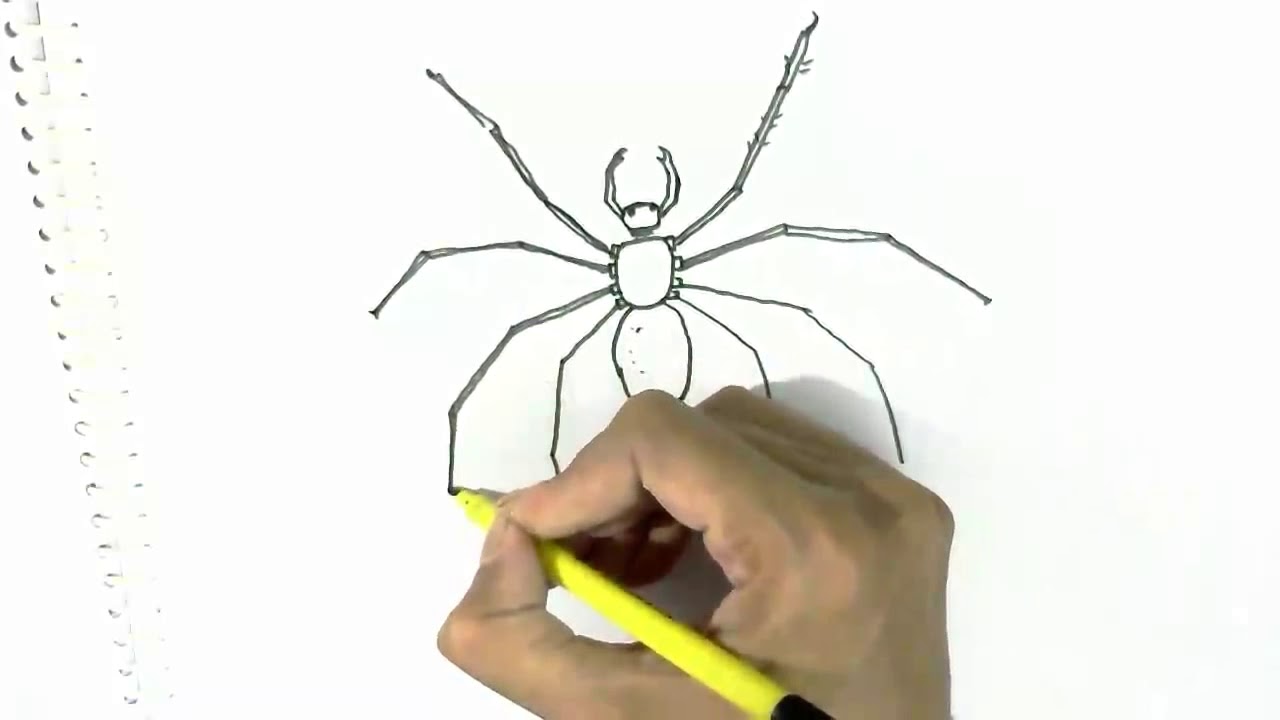 1280x720 How To Draw Spider Step By Step Easy Beginners