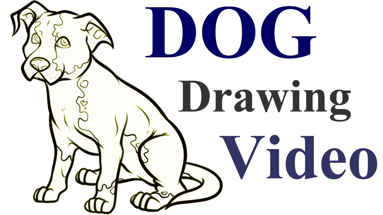 1280x720 How To Draw A Dog Step By Step Video Draw A Dog For Kids Easy