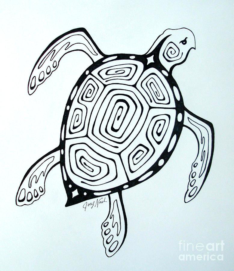 778x900 Turtle Drawings Sea Turtle Drawing By Turtle Drawings Images
