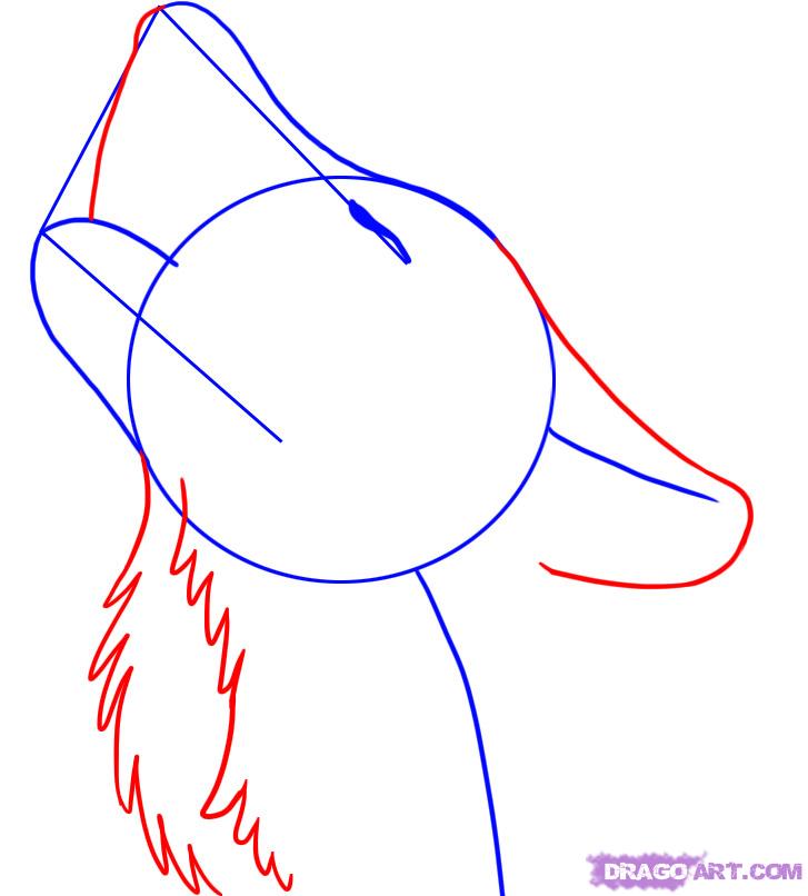 727x806 How To Draw A Howling Wolf Step 3 All Arts Wolf