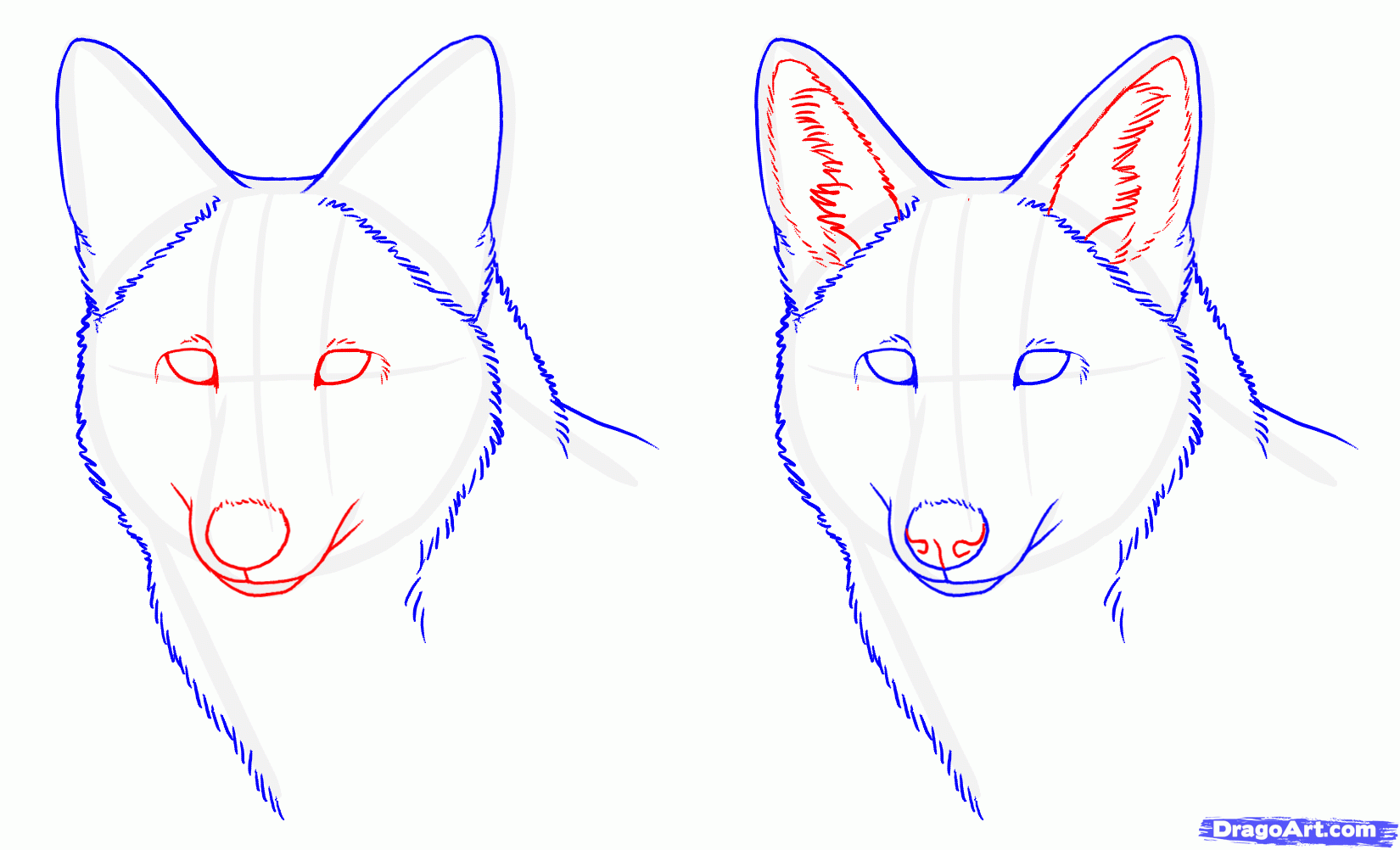 Easy Wolf Drawing Tutorial at GetDrawings | Free download