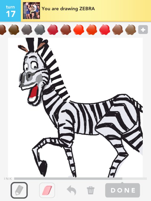 500x667 Zebra Drawings