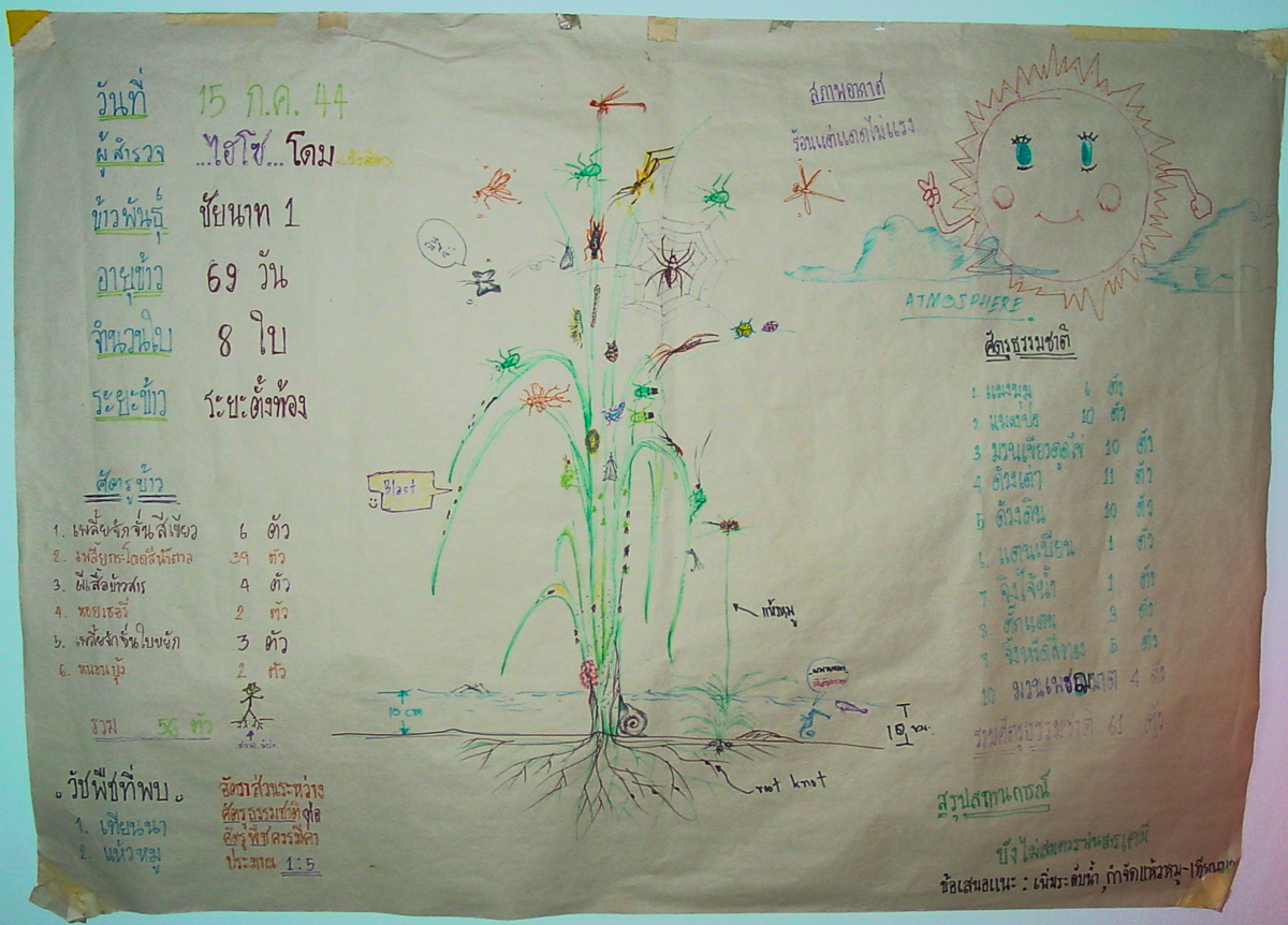 1200x862 Agro Ecosystem Analysis (Aesa)