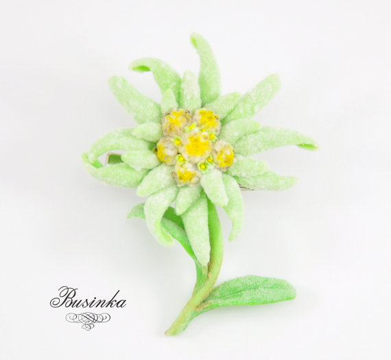 570x526 Edelweiss Flower Brooch Amp Hair Clip Mountain Jewelery Flower