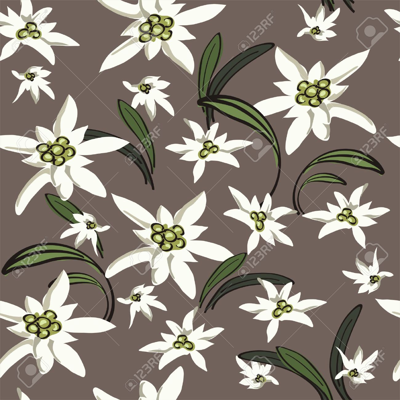 1300x1300 Elegance Seamless Background With Edelweiss Flowers Floral Vector